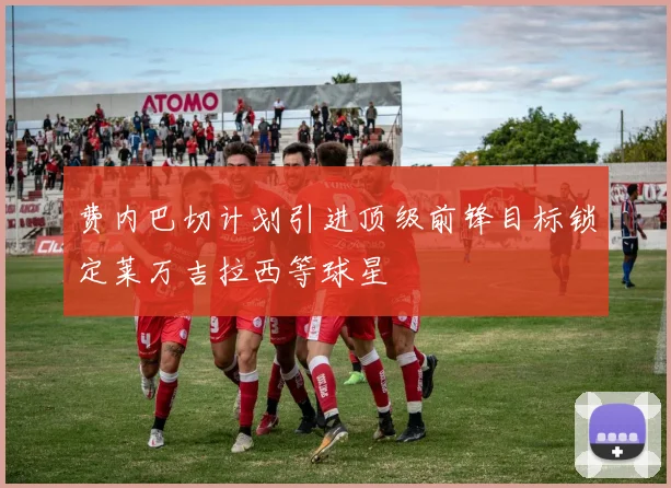 费内巴切计划引进顶级前锋目标锁定莱万吉拉西等球星