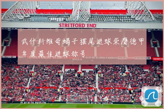 武什科维奇蝎子摆尾进球荣膺德甲年度最佳进球称号